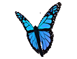 https://barkmembership.com/wp-content/uploads/2023/06/butterfly.gif